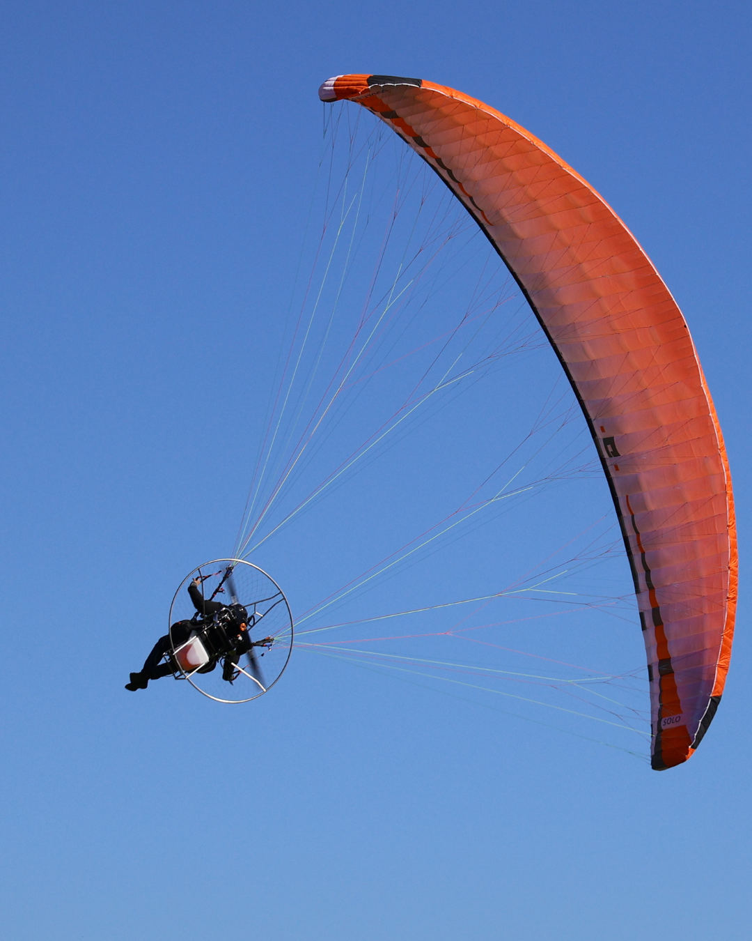 AIRNEST 1.5 + MOSTER 185 - Imagen 2